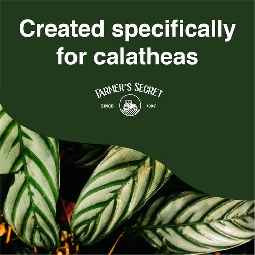Farmer's Secret Calathea Liquid Plant Food - Super Concentrated Fertilizer (8oz) for Growth & New Shoots
