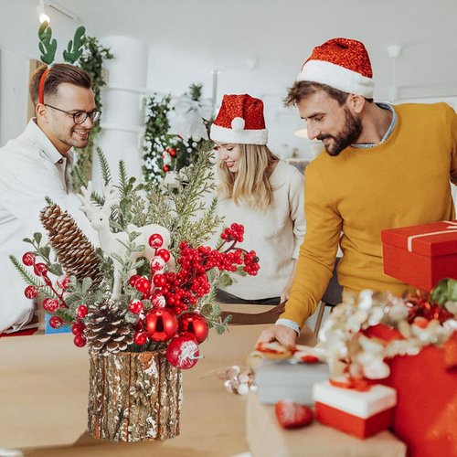 MYELLU Xmas Decor Small Christmas Tree with Lights - Artificial Tabletop Lighted Mini Christmas Tree with Christmas Ornaments Gnomes Indoor for Office Desk Home Decorations