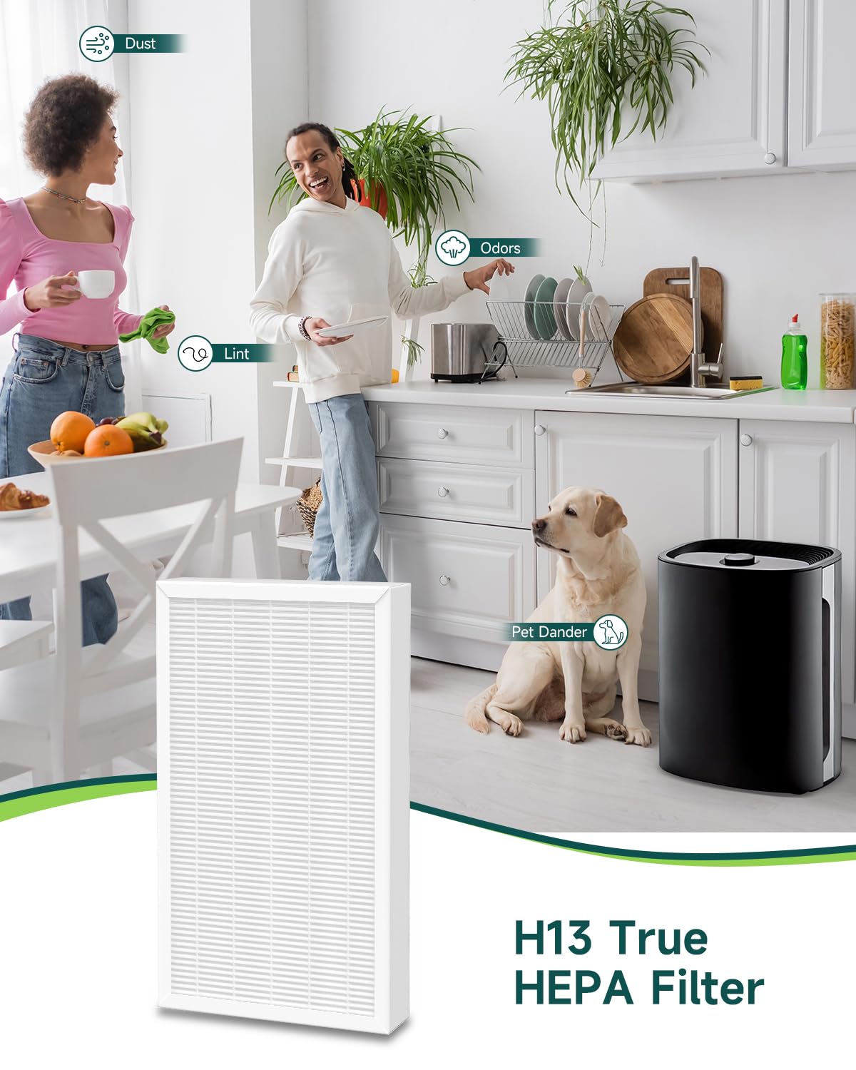 Future Way F1 Filter Compatible with 3M Filtrete Air Purifiers FAP-C01BA-G1, FAP-T02WA-G1, Part# FAPF-F1-2P, 2-Pack