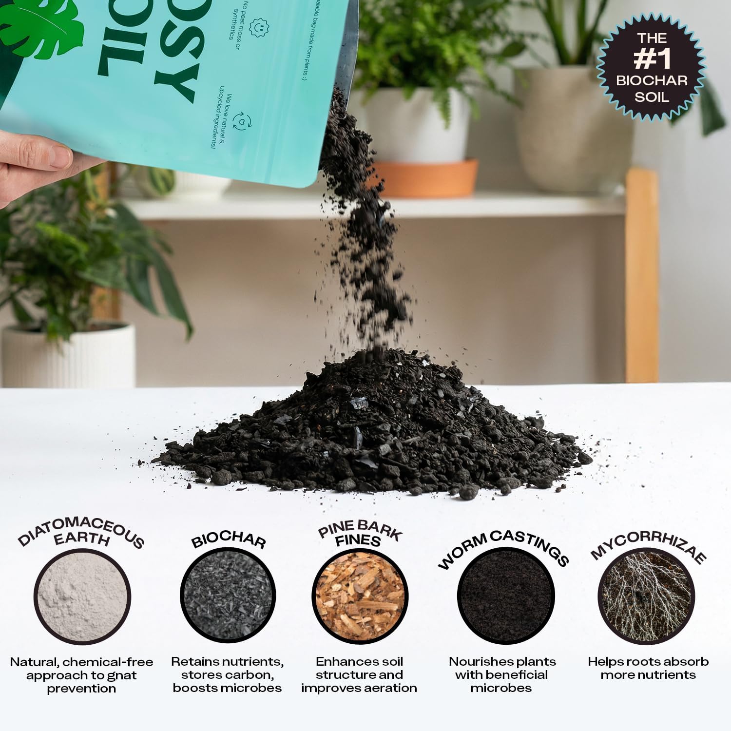 Rosy Soil Indoor Potting Soil - Organic Mix Enriched with Biochar for Healthy House Plants | Peat-Free, 4qt