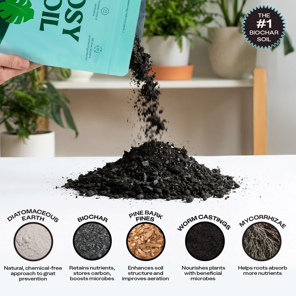 Rosy Soil Indoor Potting Soil - Organic Mix Enriched with Biochar for Healthy House Plants | 8qt