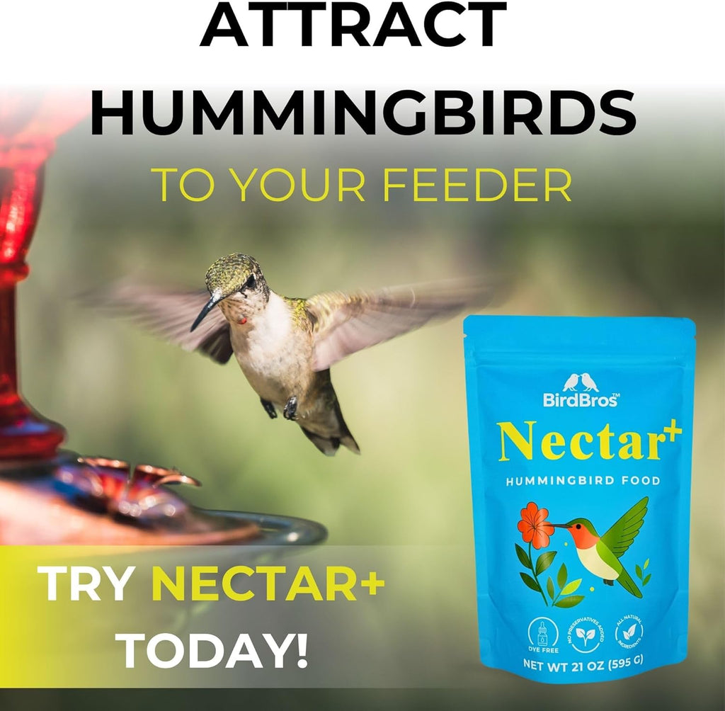 BIRDBROS Hummingbird Nectar Powder - All-Natural, Dye-Free, Easy Mix Feeder Refill | Makes 96 oz