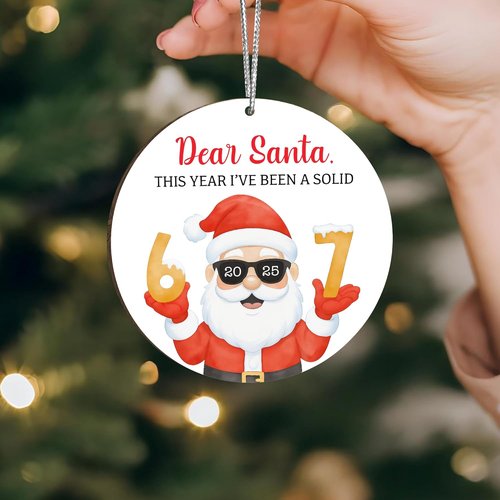 67 Meme Funny Christmas Ornaments - Hilarious Santa Tree Decor for Gag Gifts & Stocking Stuffers