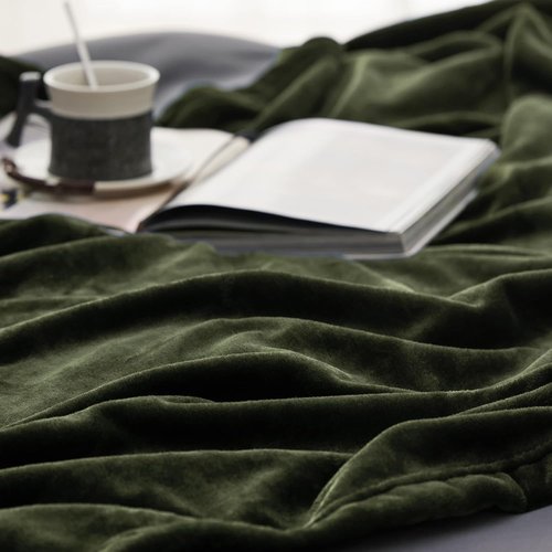 Bedsure GentleSoft Fleece Blanket - Twin Size Olive Green, 300GSM Cozy & Warm Plush Blanket, 60x80 Inches
