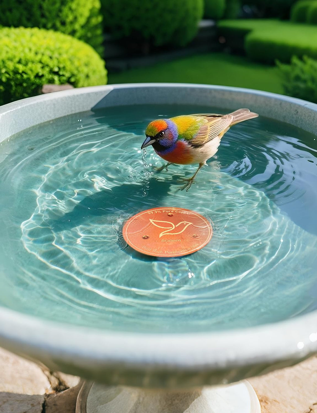 Nature’s Purifier 2-Pack Copper Bird Bath Cleaning Disks - 99.9% Pure Copper, 0.6mm Thick