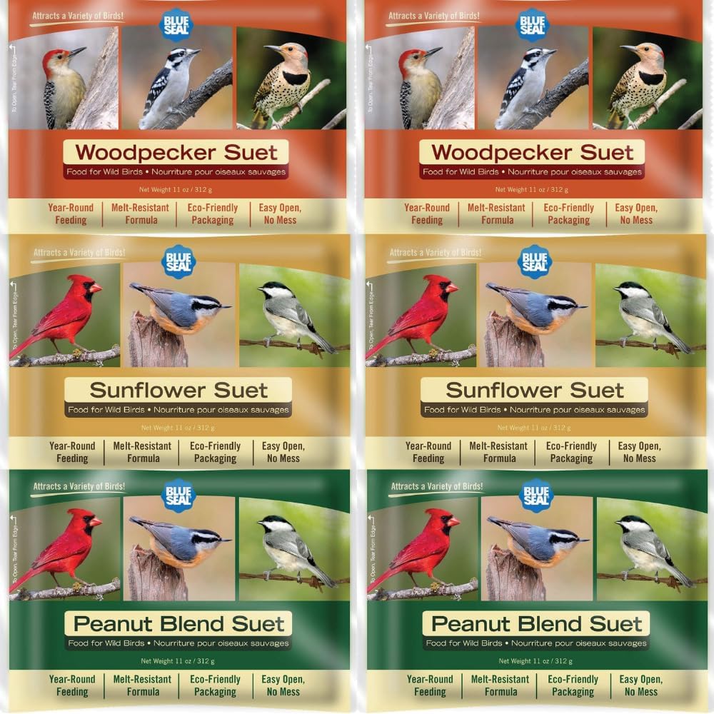 Blue Seal Nut Feast Suet Cakes for Wild Birds - No Mess Suet Feed with Nuts | 11oz Seed Cake Variety Pack for Woodpeckers, Cardinals & Sparrows