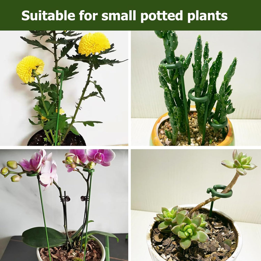 Small Plant Stakes - Pack of 30 | Durable Support for Indoor Plants - 3 Sizes: 6.7/10.7/14.6 Inches