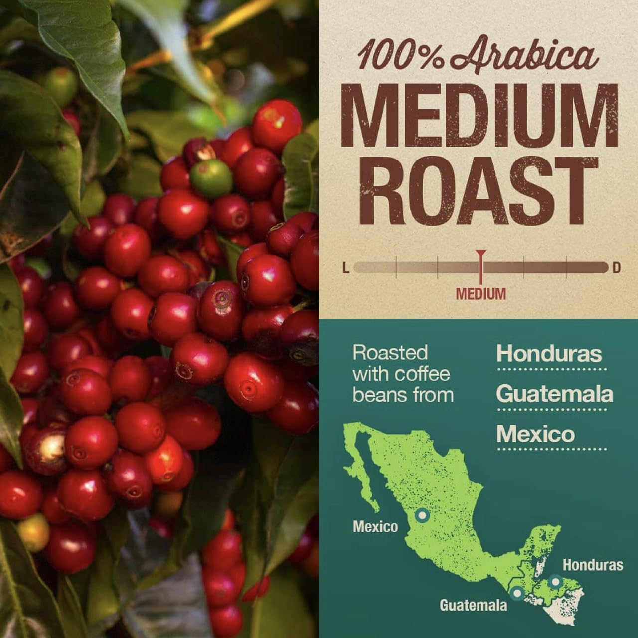 Mayorga Organic Coffee - 2lb Mayan Blend Medium Roast Whole Bean | 100% Arabica, Chocolate & Floral Flavor, USDA Organic