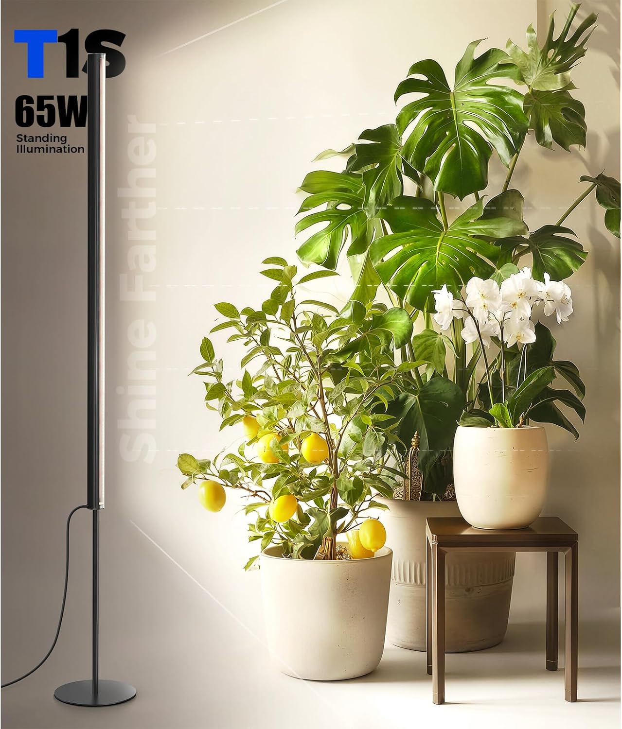 Barrina T1S Grow Light - Adjustable Height 5FT-5.6FT | 65W Full Spectrum Indoor Plant Lighting