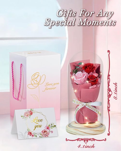 HVY Preserved Flowers Bouquet with Red and Pink Roses in Glass Dome, Perfect for Valentines Day, Anniversary, Birthday, Mothers Day or Christmas