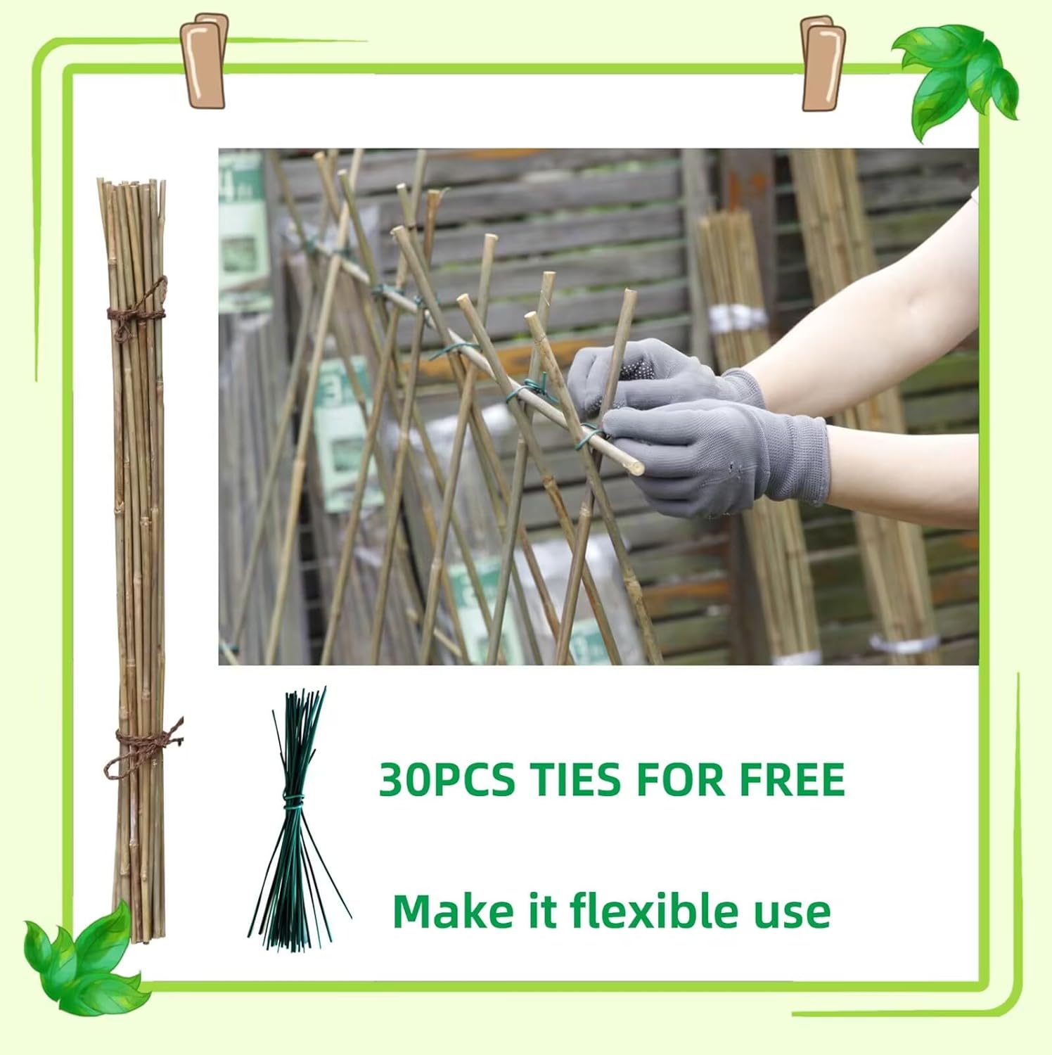 Bamboo Stakes - Eco-Friendly Plant Support Poles | 50-Pack, 4.8FT Height for Tomatoes, Beans & Flowers