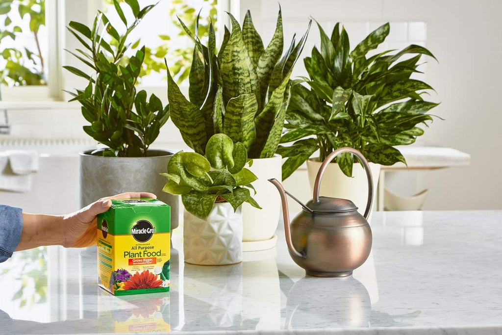 Miracle-Gro Water Soluble All-Purpose Plant Food - Fertilizer for Indoor & Outdoor Plants | 1.5 lbs (6-Pack)