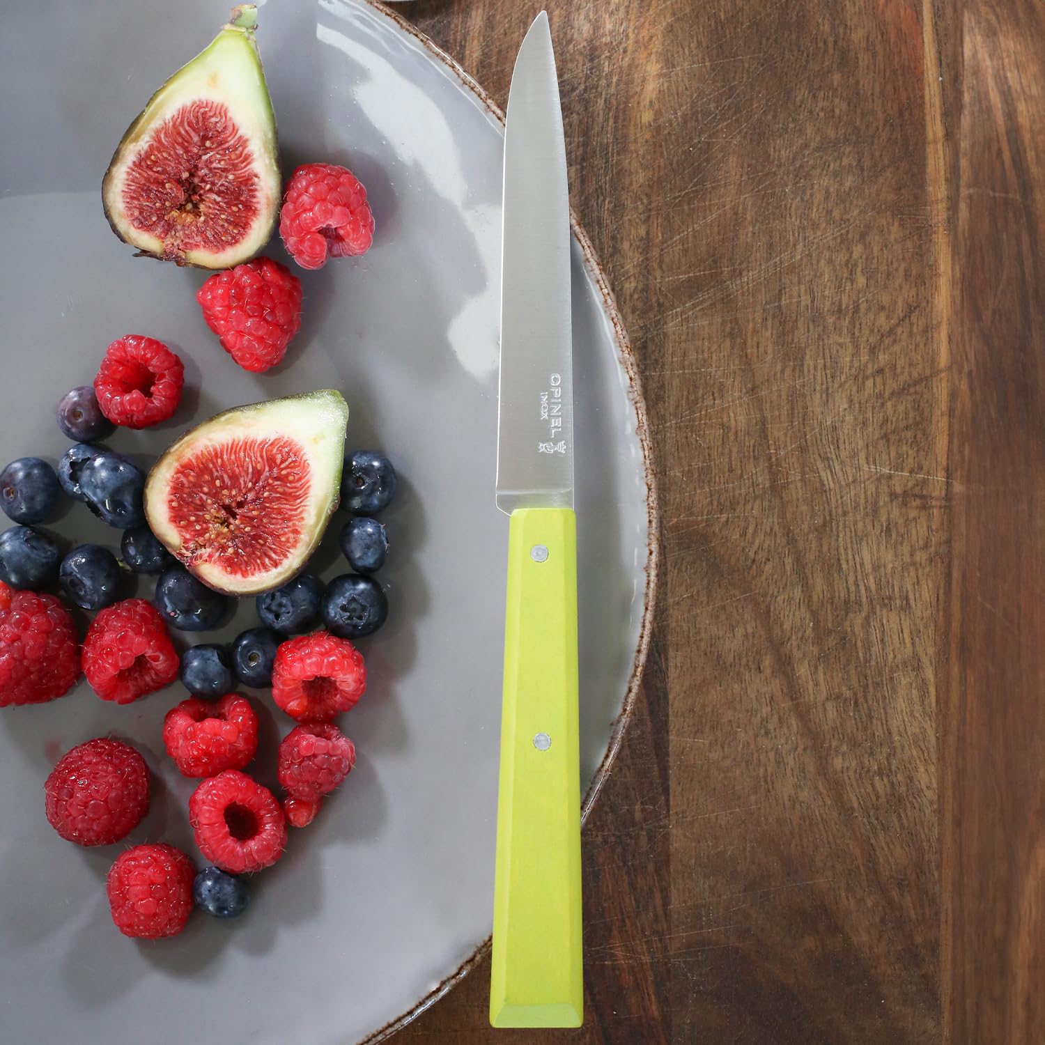 OPINEL No. 125 Table Knives, 4 Piece Set, High Carbon Steel Dinner Knives for Parties, Entertaining, or Everyday Use, Painted Hornbeam Handles, Made in France (Countryside)