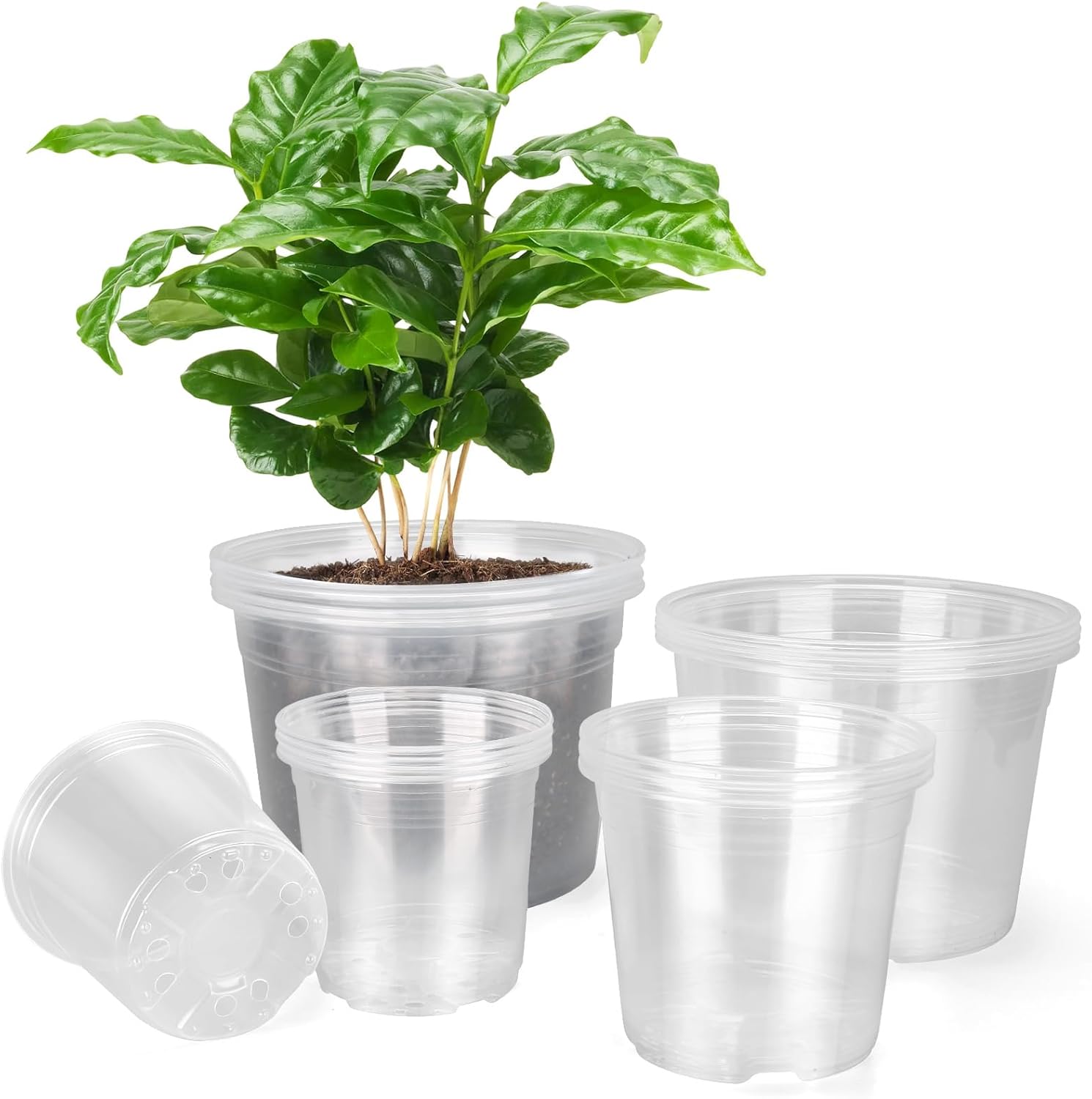 Skiennix Large Clear Nursery Pots - 10/8/6/5 Inch with Drainage Holes | 16 Pack Plastic Plant Pots for Succulents and Flowers