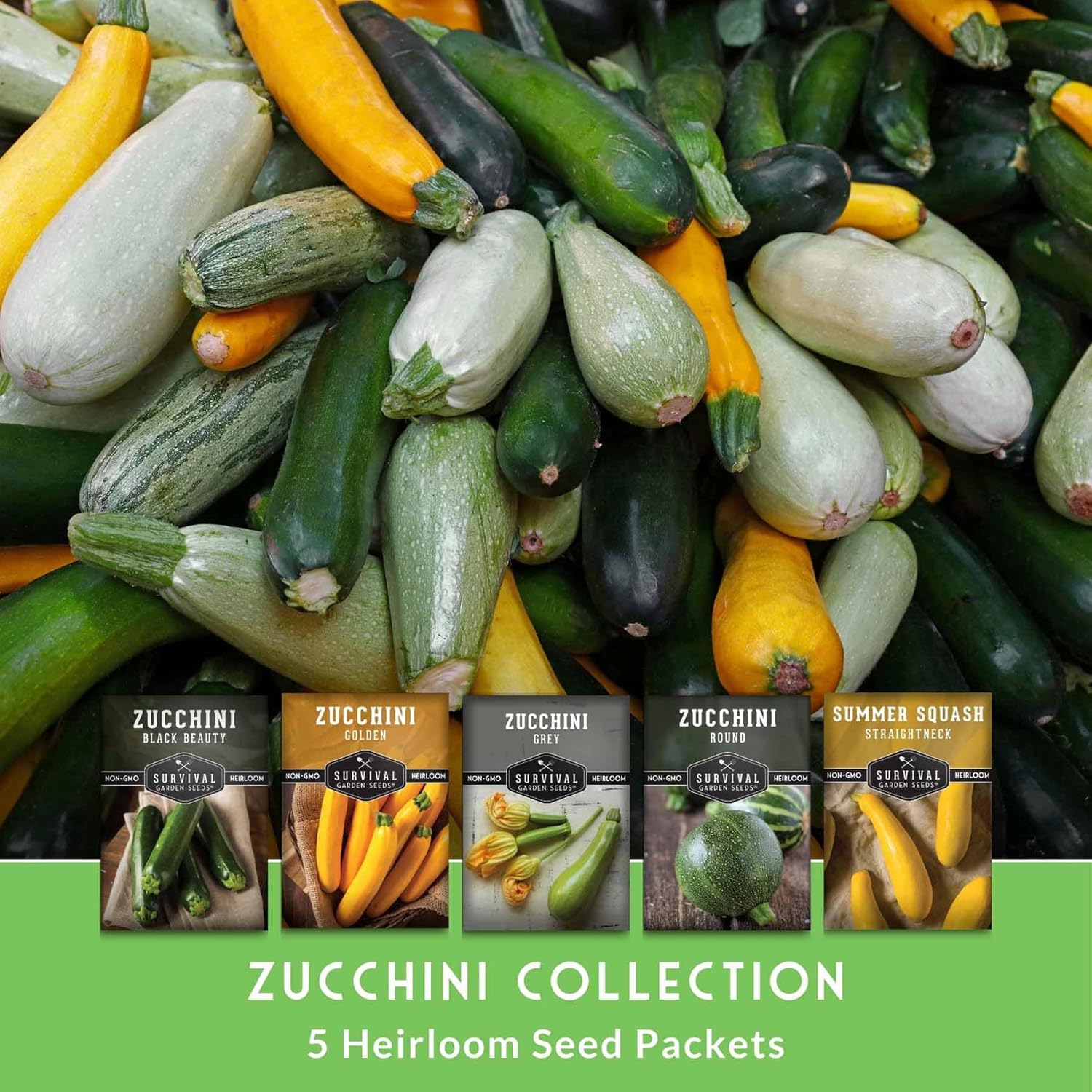 Survival Garden Seeds - Zucchini & Squash Collection | Non-GMO Heirloom Seeds Assortment - Golden, Round, Grey & Black Beauty