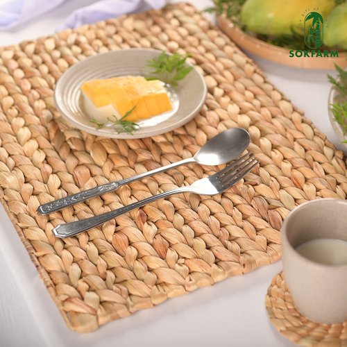 Table Mats Set of 10, Boho Woven Placemats, Individuales para Mesa De Comedor, Easter Farmhous Egreen Placemats, Individuales para Mesa, Table Tyke Placemat, Water Hyacinth Place Mat 17x12