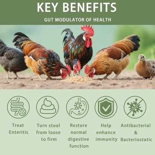 Chicken Gut Modulator - Natural Anti-Diarrhea Powder for Poultry | 10 oz Supplement for Ducks & Geese