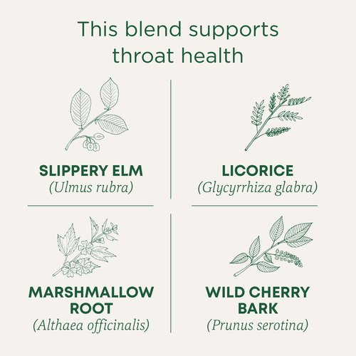 Traditional Medicinals Tea, Organic Throat Coat, Supports Throat Health, 48 Tea Bags