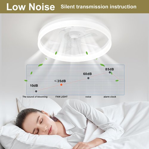 FTZVRD Ceiling Fans with Lights and Remote, 20 Inch Flush Mount Low Noise Fan, Reversible DC Motor, 3-Color Dimmable LED Fan for Bedroom, Dining Room, Kitchen, Kids Room, Home Office