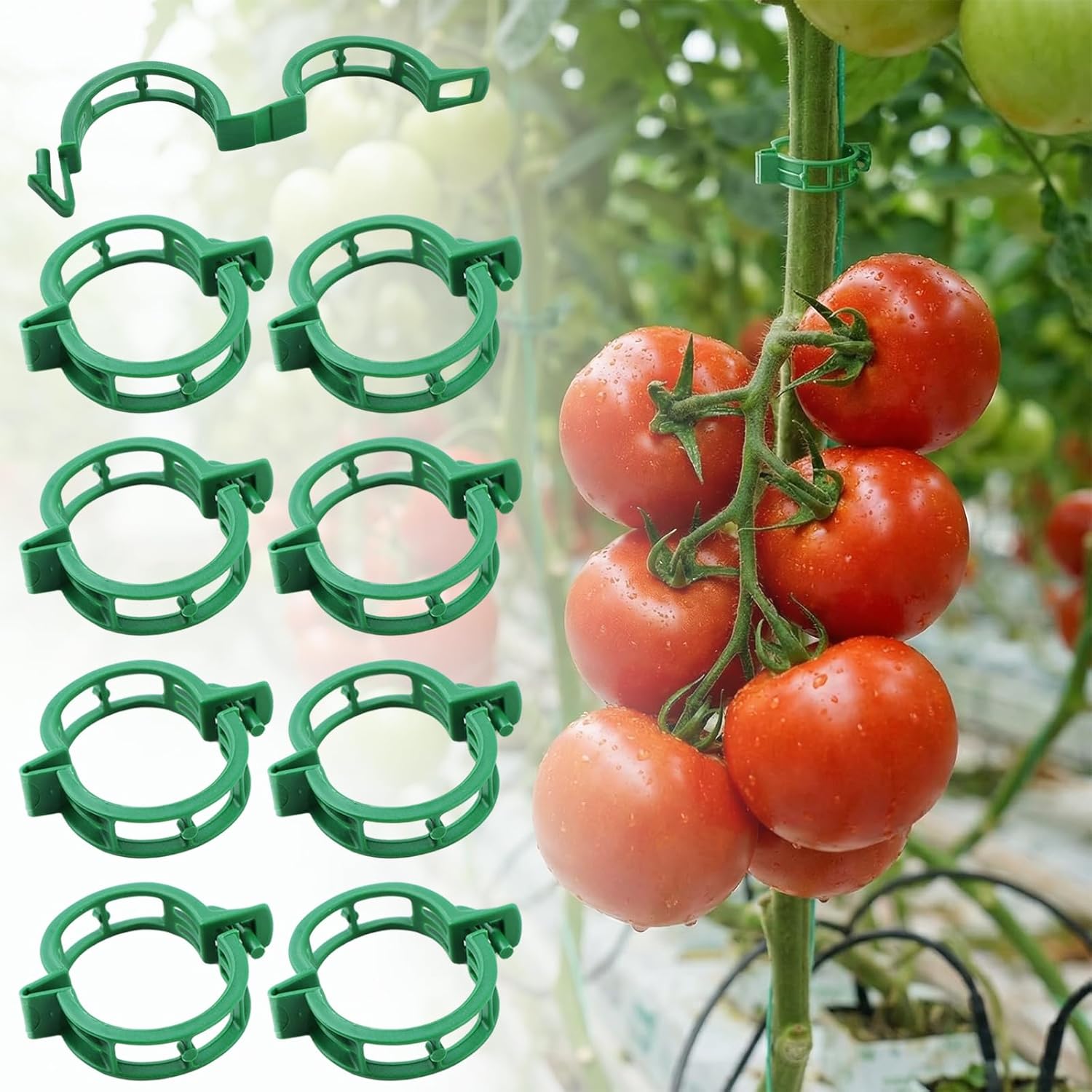Skiennix Plant Support Clips - 60 Pcs Plastic Clips for Securing Tomato Vines & Climbing Plants