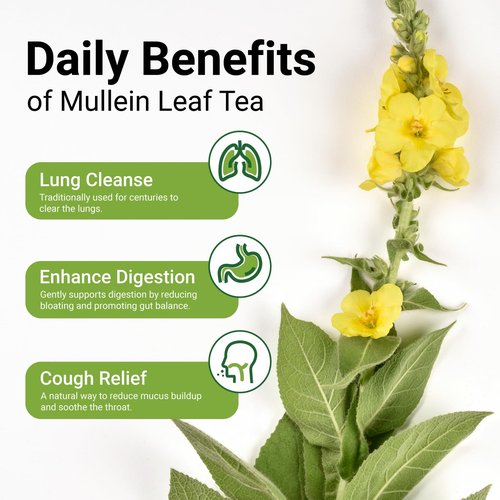 Premium 20 Mullein Tea Bags For Lungs - 100% Pure Mullein Leaf | For Lung Health & Respiratory Wellness Support | Caffeine Free - No Additives & Non-GMO | Plastic-Free, Plant-Based Tea Bags