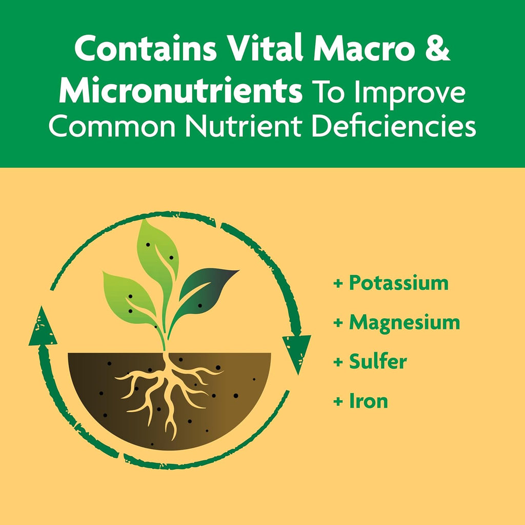 Miracle-Gro Shake 'N Feed Plant Food - Nourishes Citrus, Avocado & Mango Trees | 4.5 lbs