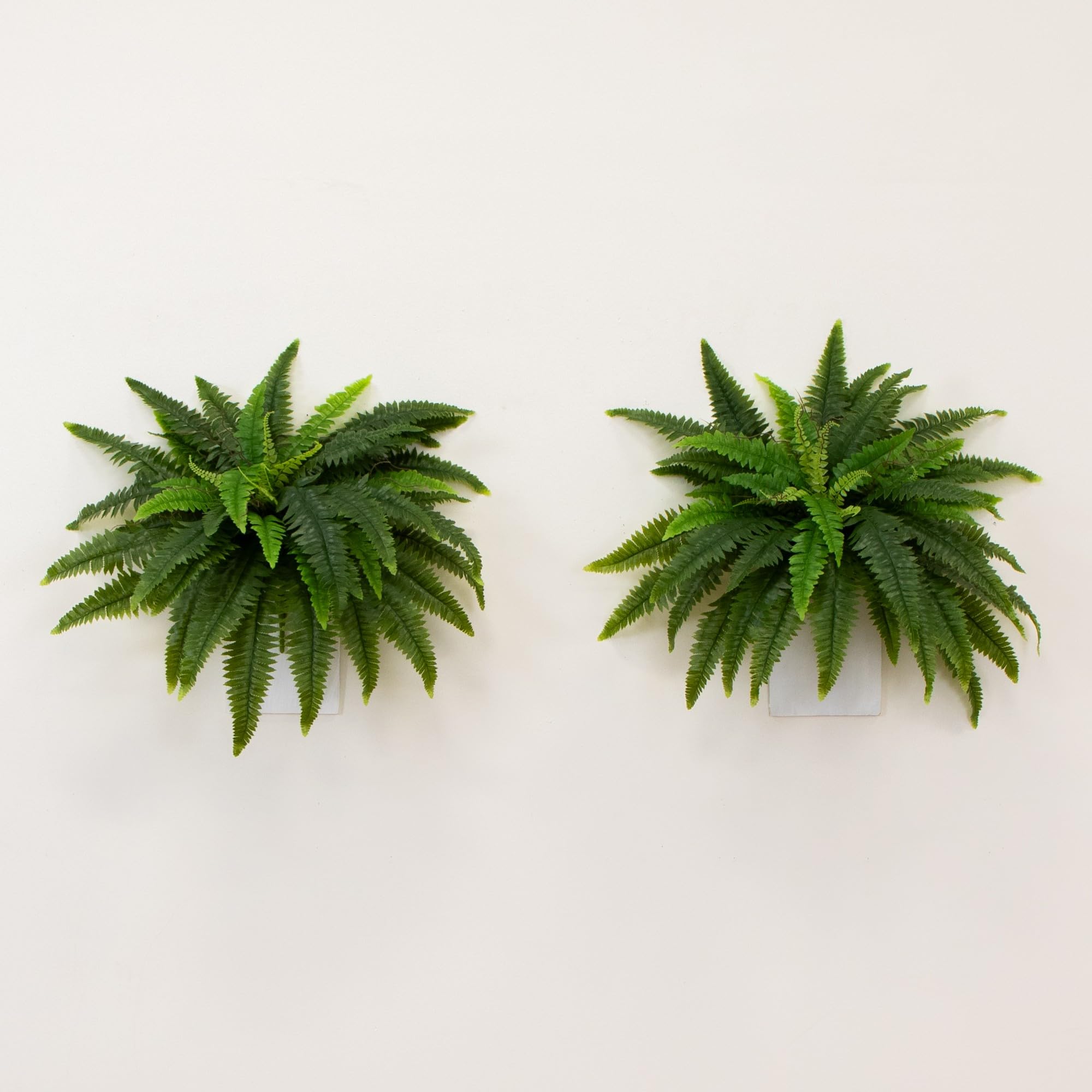 Nearly Natural 40-in UV Resistant Artificial Boston Fern, Set of 2, Large Hanging Fake Plant Wall Decor with 53 Fronds, Faux Fern Vines that Look Real for Home & Garden Decor, Outdoor Porch Decoration