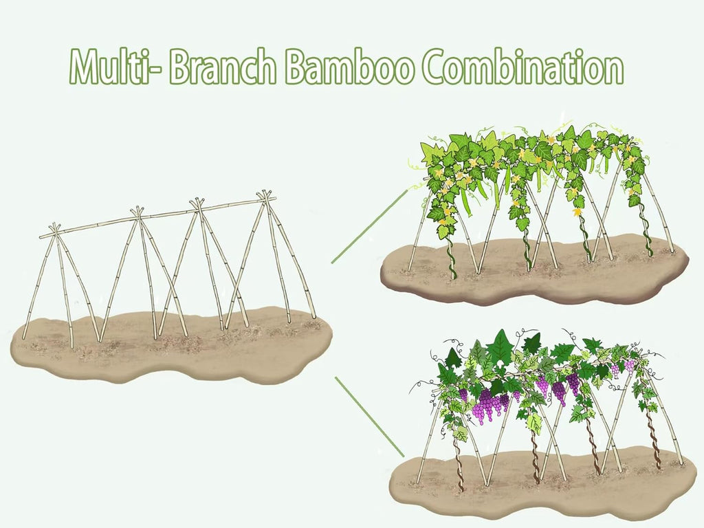 Bamboo Garden Stakes - 4 Feet Plant Support for Tomatoes, Beans, and Climbing Plants | 65 Pcs Set