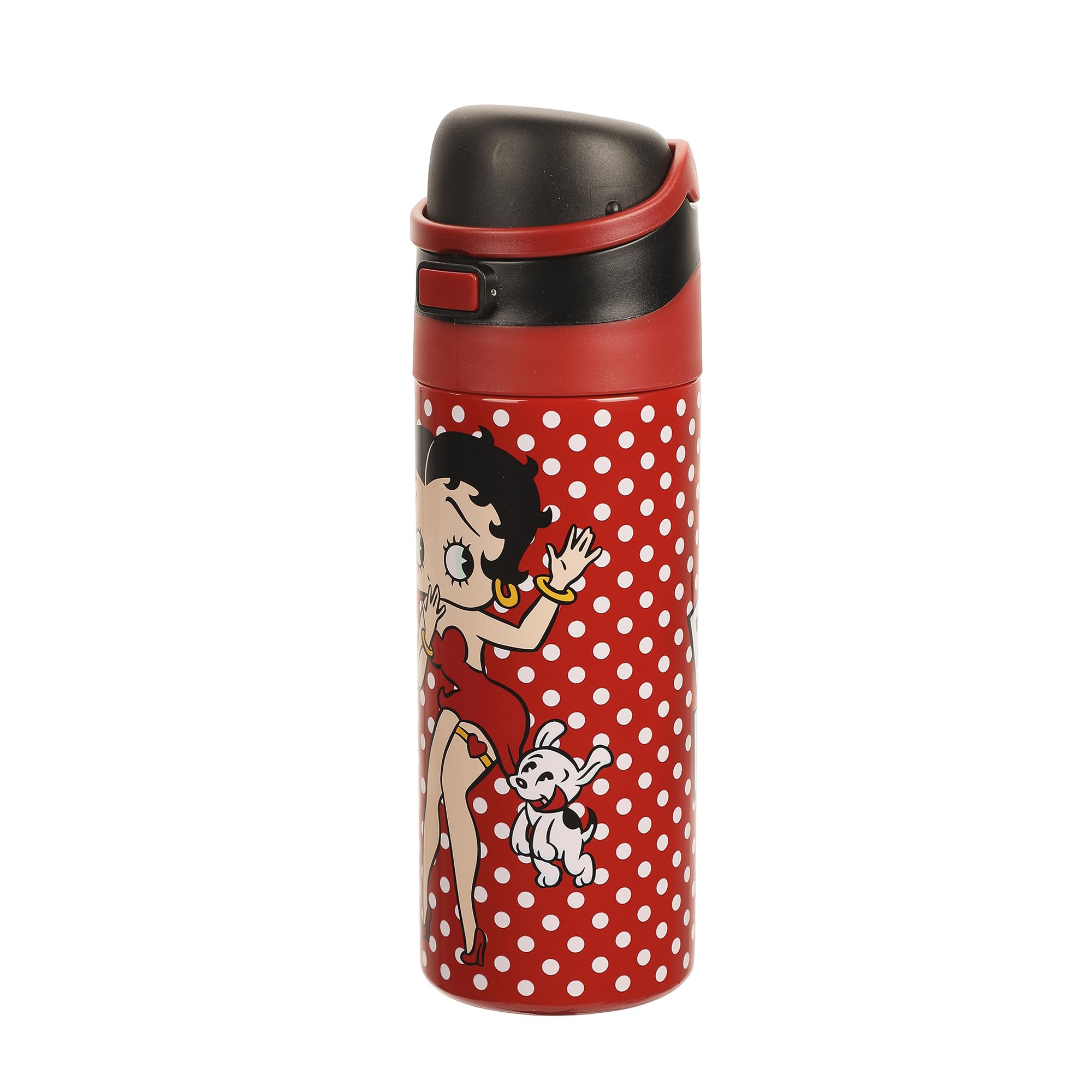 Peanuts Snoopy and Woodstock 24 Oz. Stainless Steel Water Bottle