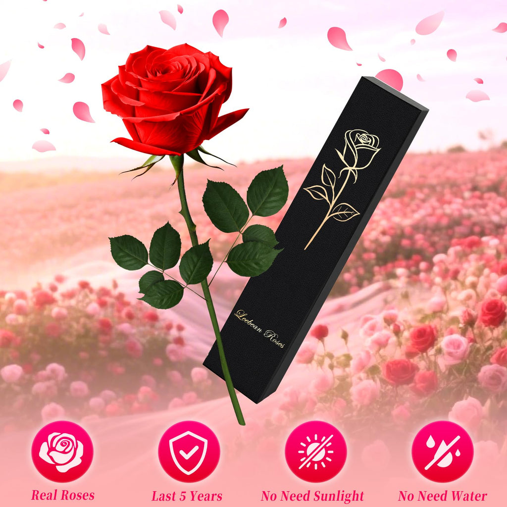 Leebean Single Forever Roses Luxury Gift for Women/Men, Birthday Gifts for Women,Flowers Gifts for Girlfriend,Wife,Mom,Anniversary,Valentine's Day,Wedding,Graduation,Presents for Her,Red
