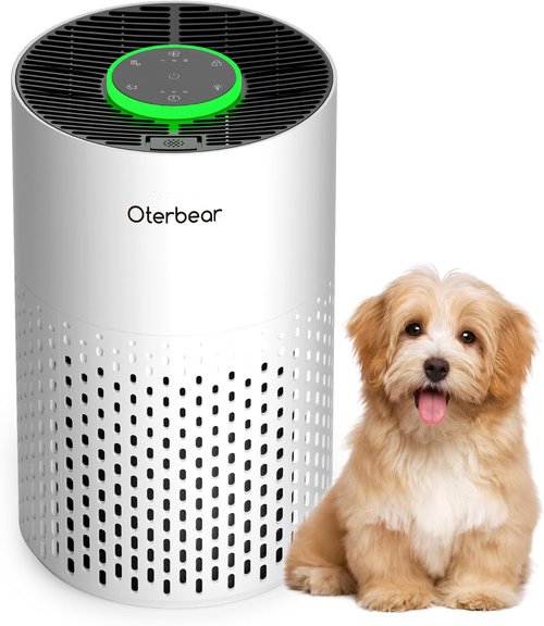 **H14 HEPA Air Purifier by [Brand Name] - Ultra-Quiet 24dB for Allergies & Smoke - Ideal for Rooms Up to 1250 Ft²**