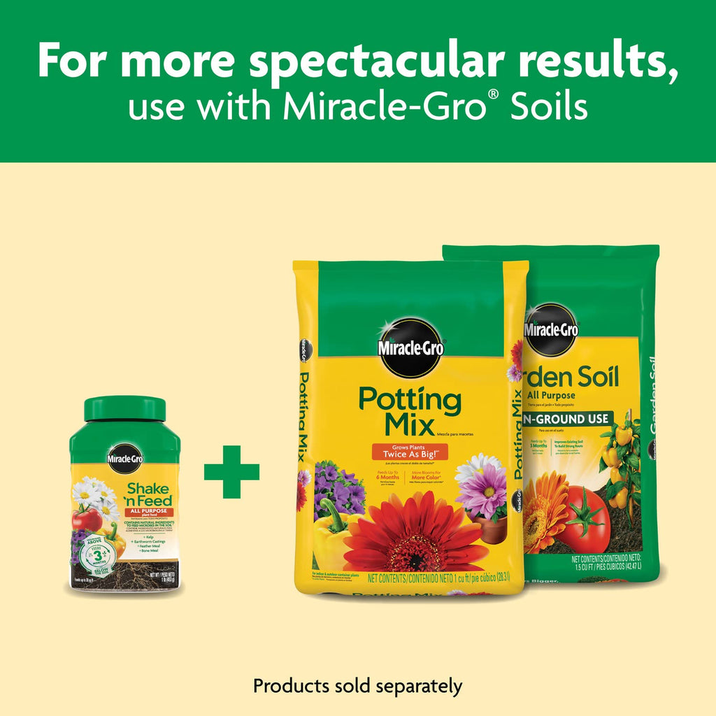 Miracle-Gro Shake 'N Feed All Purpose Plant Food - Nourishes Indoor & Outdoor Plants for 3 Months | 1 lb