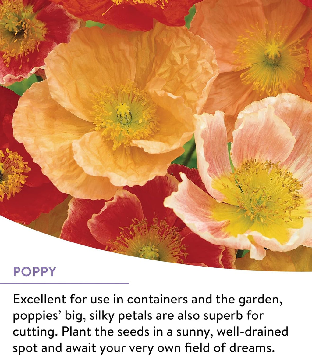 Burpee Wildflower Seeds - 25,000 Bulk Non-GMO Flower Seeds for Pollinator Garden | 18 Varieties