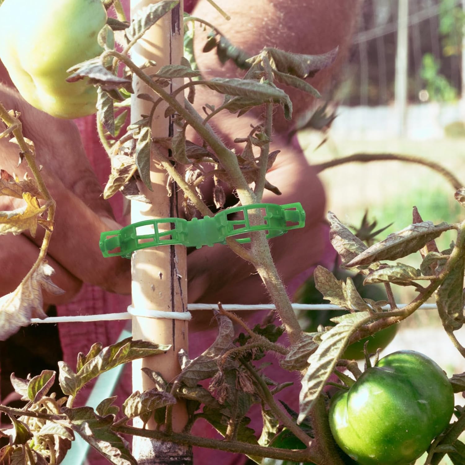 OJYUDD Plant Support Clips - 300 Pcs Plastic Tomato & Garden Vine Clips for Climbing Plants (Green)