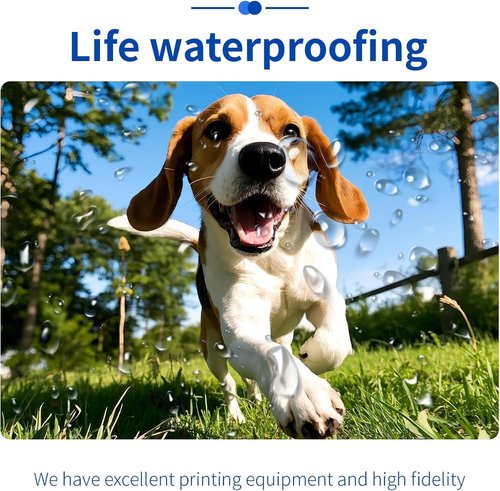 Custom Photo Prints - Water Resistant, Glossy Finish | 10 Pcs, 4” x 6” - Unframed Photo Printing