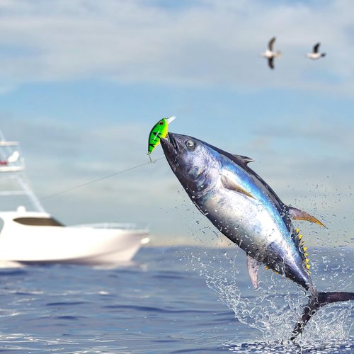 Fishing Advent Calendar 2025 | 24 Days of Premium Fishing Lures - Perfect Gift for Dads and Young Anglers