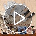 Oyster Shucking Knife Set with Cut-Resistant Gloves - Stainless Steel