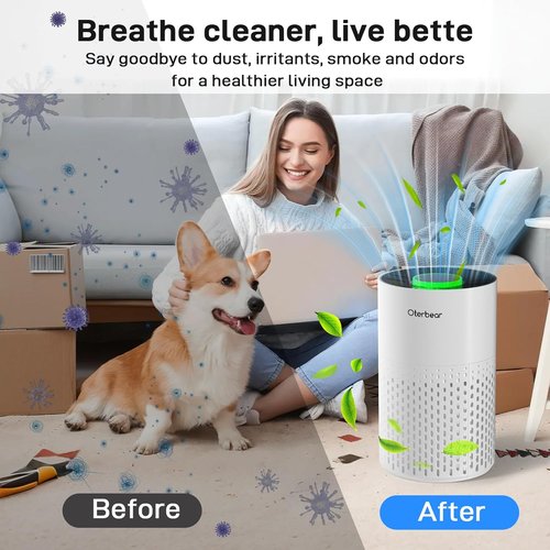 **H14 HEPA Air Purifier by [Brand Name] - Ultra-Quiet 24dB for Allergies & Smoke - Ideal for Rooms Up to 1250 Ft²**