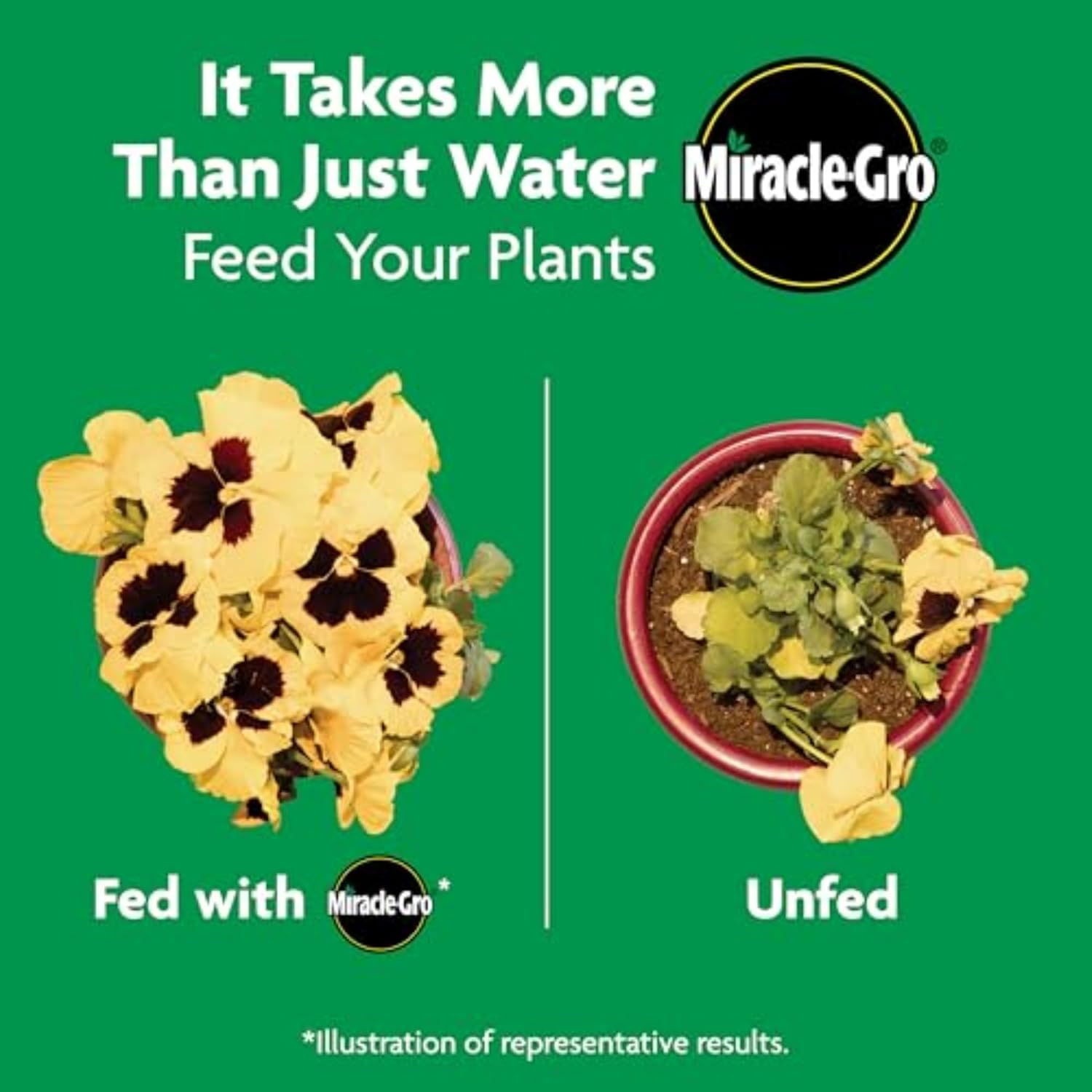 Miracle-Gro Shake 'n Feed Rose & Bloom Plant Food - Long-Lasting Granular Fertilizer for Flowers - 4.5 lbs