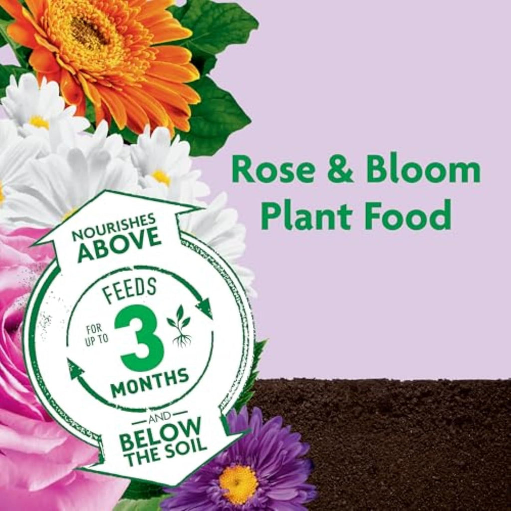 Miracle-Gro Shake 'n Feed Rose & Bloom Plant Food - Long-Lasting Granular Fertilizer for Flowers - 4.5 lbs