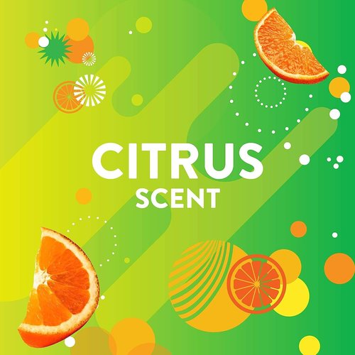 Scrubbing Bubbles Flushable Toilet Wand Refills, Fresh Brush Heavy Duty Toilet Cleaner Refill Pads, Cleans Limescale & Fights Odors, Citrus Scent, 8 Count, Pack of 2
