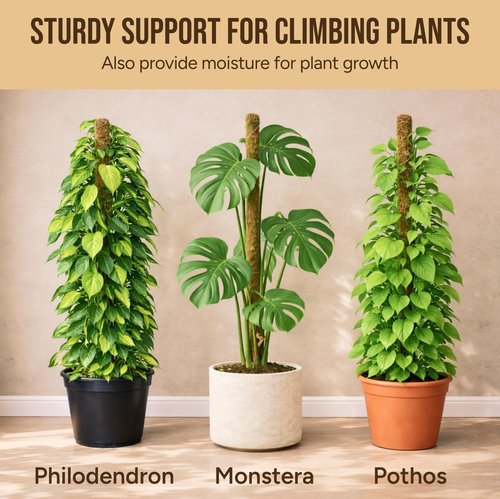 Craft911 Moss Pole Monstera Plant Support - 2 Pack 28” Bendable Stakes for Climbing Indoor Plants