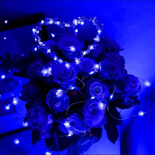 LAMPHOME Fairy Lights - 6 Pack Battery Operated 20 LED String Lights | 6.6ft Waterproof Silver Wire for DIY Party & Wedding Decor