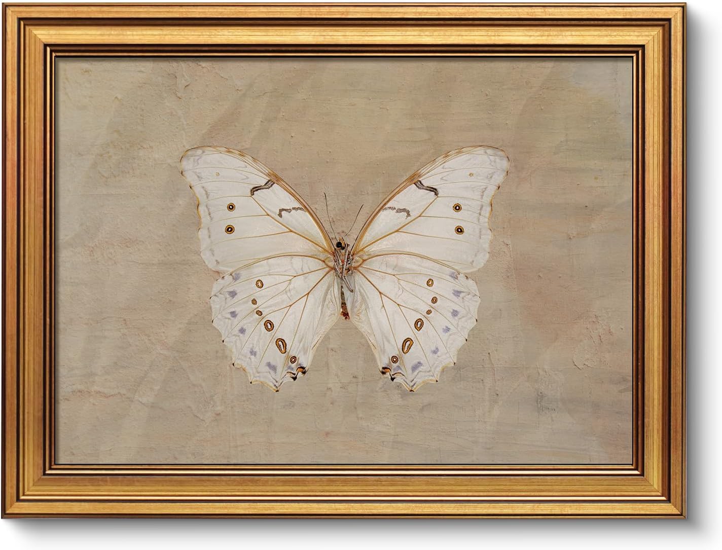 VIYYIEA Vintage Gold Framed Wall Art - Morpho Polyphemus Design | 16" x 12" for Living Room Decor