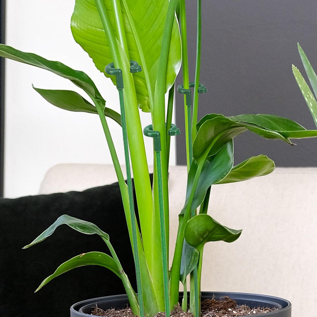 Small Plant Stakes - Pack of 30 | Durable Support for Indoor Plants - 3 Sizes: 6.7/10.7/14.6 Inches