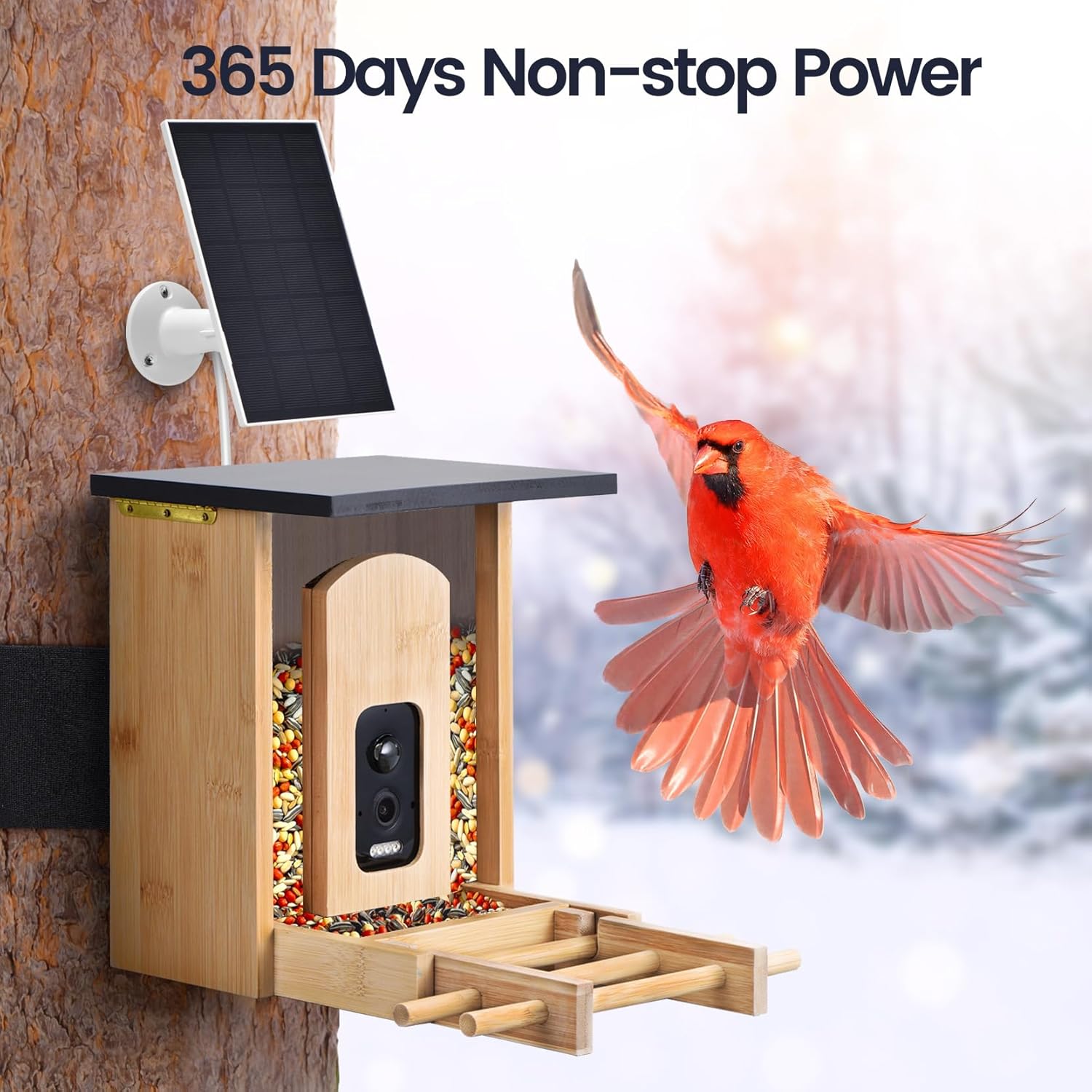 Skiennix Smart Bird Feeder - 2K HD Camera with AI Bird Identification & Solar Power | Bamboo Design