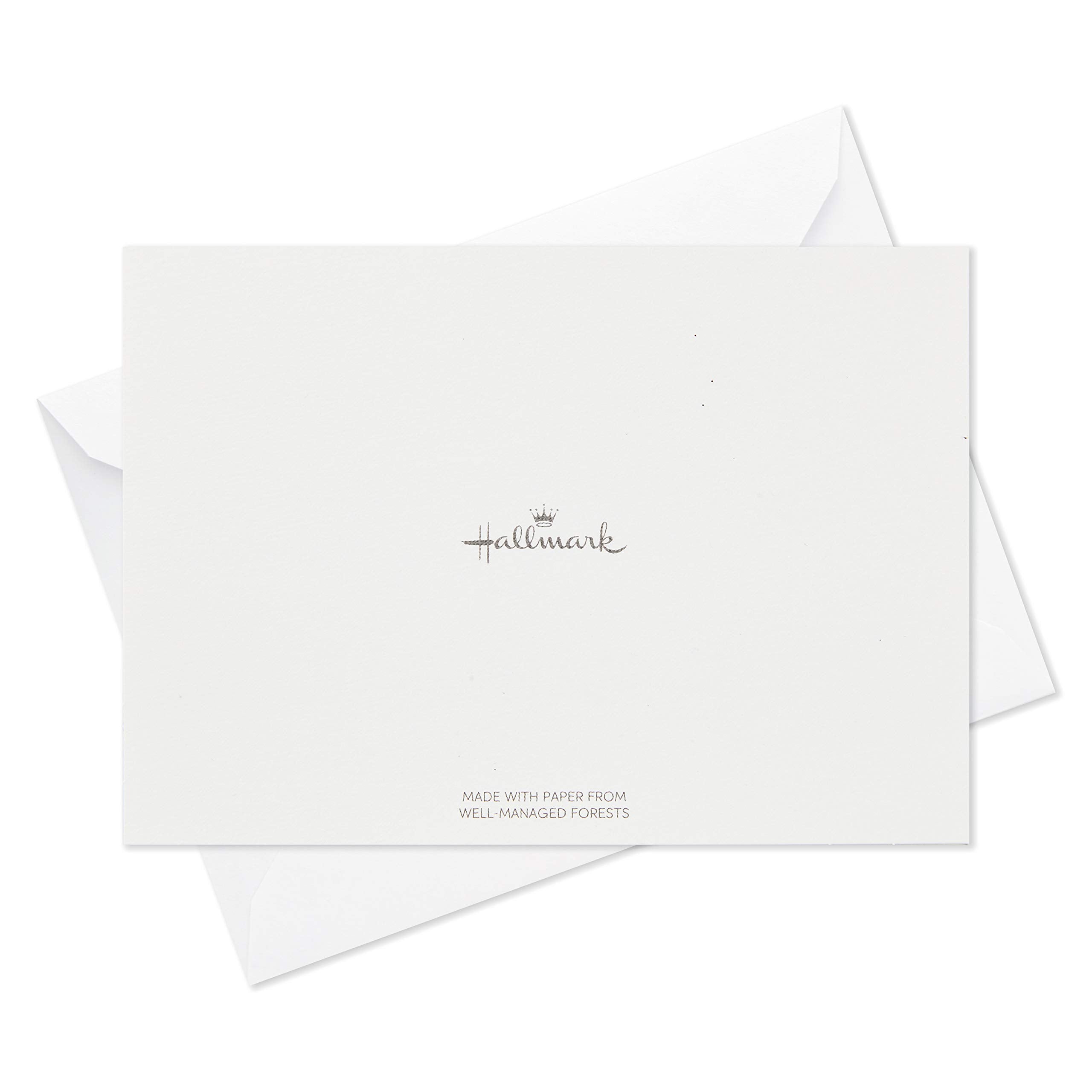 Hallmark Thank You Cards Assortment, Tropical Animals (24 Assorted Thank You Notes with Envelopes—Cheetahs, Llamas, Zebras, Flamingos, Birds)