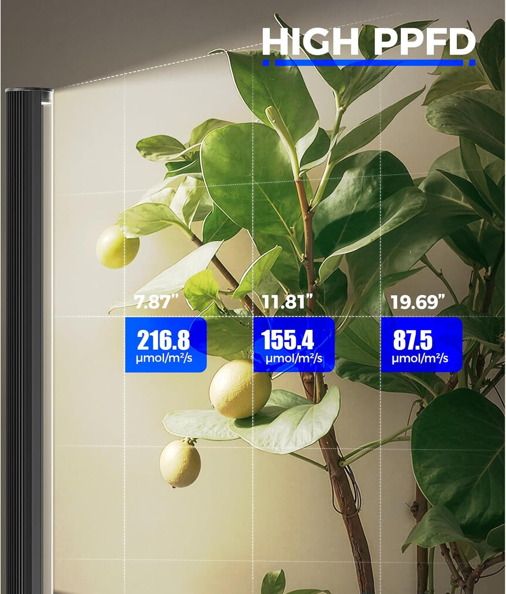 Barrina T1S Grow Light - Adjustable Height 5FT-5.6FT | 65W Full Spectrum Indoor Plant Lighting