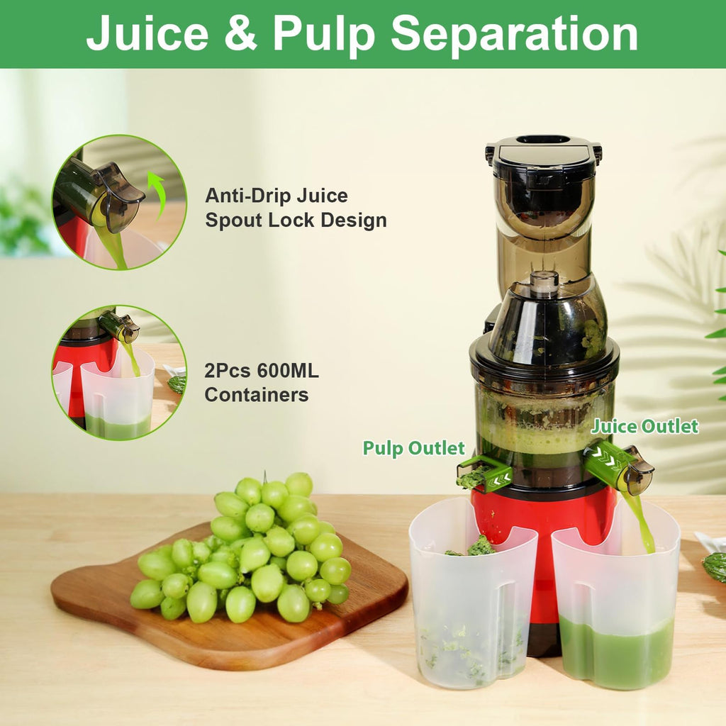 TeqHome Cold Press Juicer,300W Electric Masticating Juicer Machines with 3" Large Feed Chute for Whole Fruits and Vegetables,Upgraded High Juice Yield Juice Extractor Machine with 2 Cups,Easy to Clean