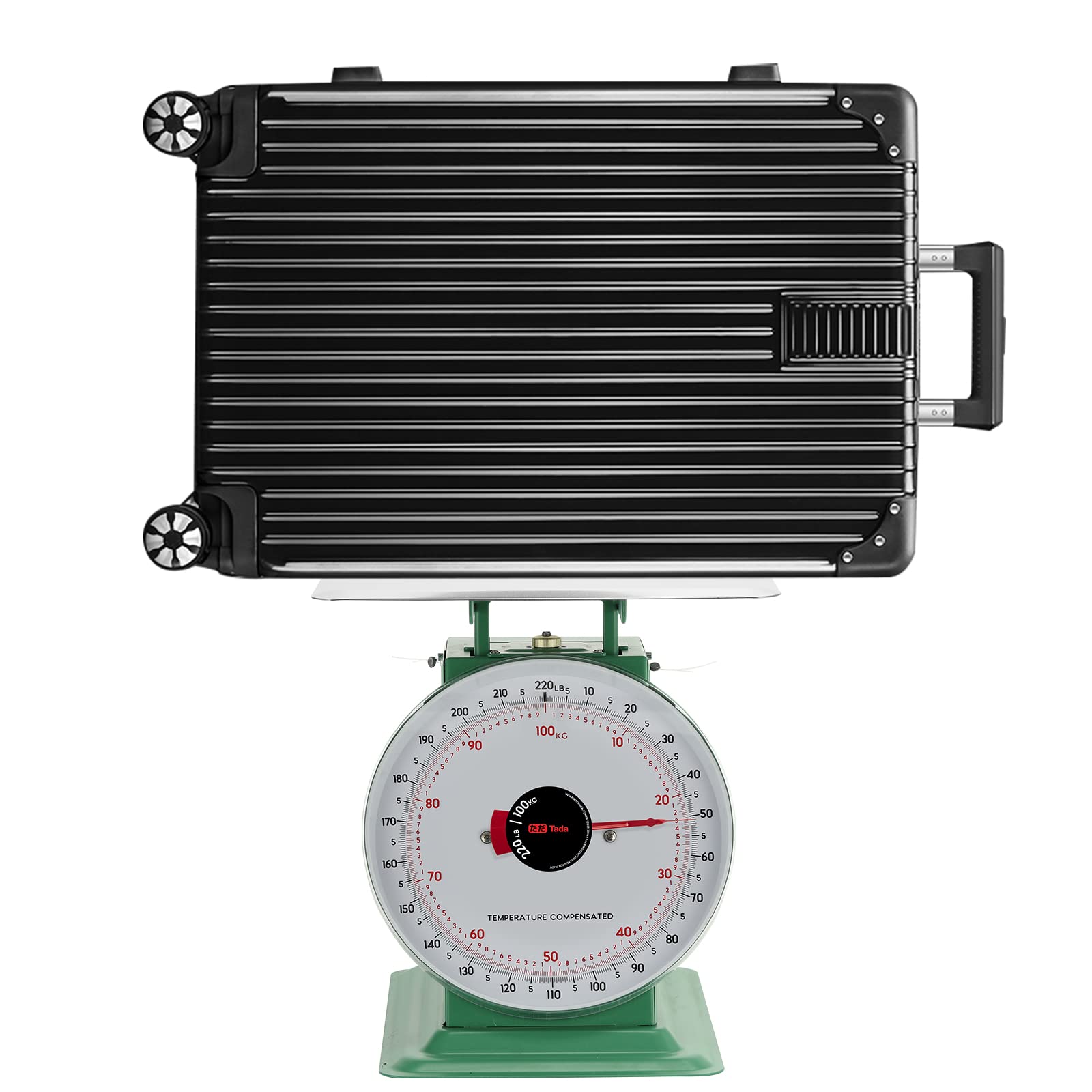Tada 220lbs Heavy Duty Mechanical Kitchen and Food Scale Industrial Scale with Stainless Steel Platform Analog Produce Scale for Farmers Market and Horse Hay